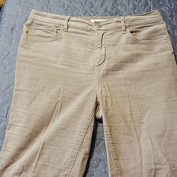 Loft High waist skinny tan cords size 8 Petite - Picture 2 of 5